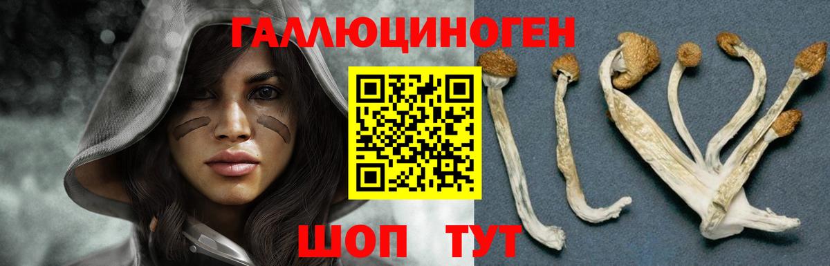 Урус-Мартан  Псилоцибиновые грибы Cubensis  Вход с VPN  купить  сайты  Псилоцибиновые грибы ЛСД 